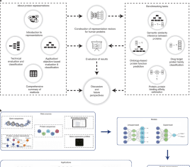 Protein Function and Properties Characterization Using Language Models Protein Function