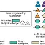 Optimizing-antibiotic-selections-with-linear-programming
