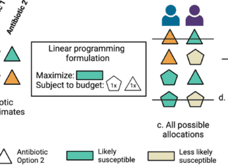 Machine Learning-Driven Antibiotic Selection Model that Predicts Personalized Antibiograms Optimizing-antibiotic-selections-with-linear-programming