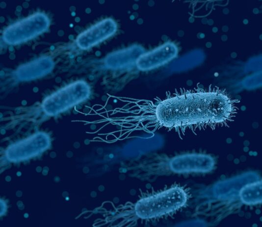 Engineered Bacteria Prevent Antibiotics from Harming the Beneficial Gut Microbes Antibiotics Gut Microbes