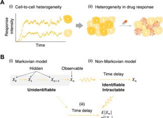 A Major Source of Cell-to-Cell Variability in Cell Signaling Dynamics Identified by Scientists Source of Cell-to-Cell Variability in Cell Signallng