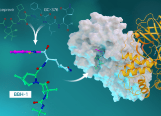 Scientists Develop Hybrid Molecules by Drug Repurposing in an Effort to Design New Drugs to Treat Covid-19 Hybrid Molecules by Drug Repurposing in an Effort to Design New Drugs to Treat Covid-19