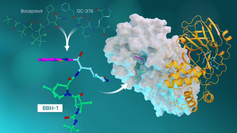 Hybrid Molecules by Drug Repurposing in an Effort to Design New Drugs to Treat Covid-19