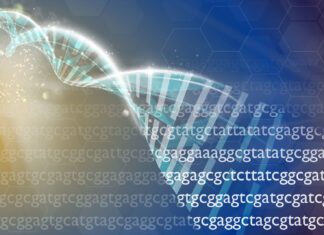 What is Bioinformatics? What is Bioinformatics?