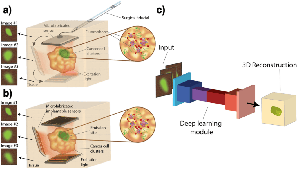 Deep Neural Network Based 3D Reconstruction of Cellular Images to Track Real-Time Response of Tissues to Cancer Therapy