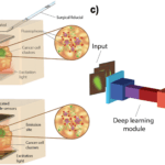 Deep Neural Network Based 3D Reconstruction of Cellular Images to Track Real-Time Response of Tissues to Cancer Therapy