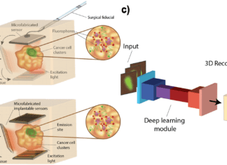 Deep Neural Network Based 3D Reconstruction of Cellular Images to Track Real-Time Response of Tissues to Cancer Therapy Deep Neural Network Based 3D Reconstruction of Cellular Images to Track Real-Time Response of Tissues to Cancer Therapy