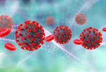 Scientists Revealed the Human Genetic Epidemiology of the COVID-19 Disease 3D medical background with Covid 19 virus cells and blood cells