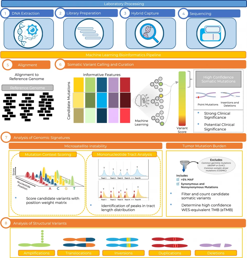 PGDx elio tissue complete for genomic profiling of human cancer