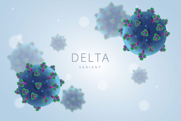 SARS-CoV-2 Delta Variant's Unique Binding Leads to High Transmissibility