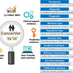 CancerVar - A New Machine Learning Empowered Tool to Interpret Somatic Variants in Cancer