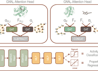 A Novel Parallel Graph Neural Networks Based Method for Decoding Protein-Ligand Interactions Graph Neural Networks for Decoding Protein-Ligand Interactions