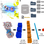 DeepRank-Data Mining ProteinProtein Interfaces Using 3D Convolutional Neural Networks