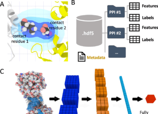 ‘DeepRank’ – A Deep Learning Framework for Data Mining Protein-Protein Interfaces Using 3D Convolutional Neural Networks DeepRank-Data Mining ProteinProtein Interfaces Using 3D Convolutional Neural Networks