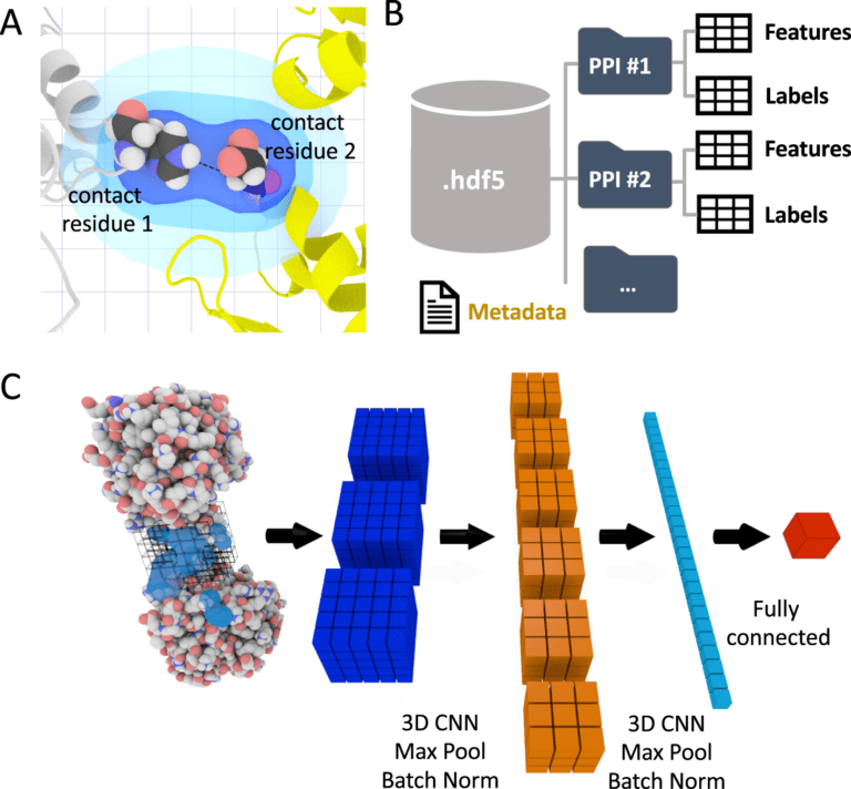DeepRank-Data Mining ProteinProtein Interfaces Using 3D Convolutional Neural Networks