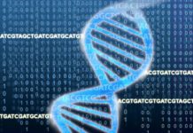 First Draft of Monkeypox Virus Genome Sequenced from Current Outbreak Patient Monkeypox Virus Genome Sequence