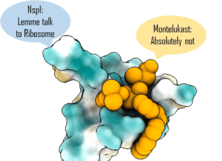 Repurposing FDA Approved Asthma Drug to Block Crucial SARS-CoV-2 Protein FDA approved drug for SARS-CoV-2