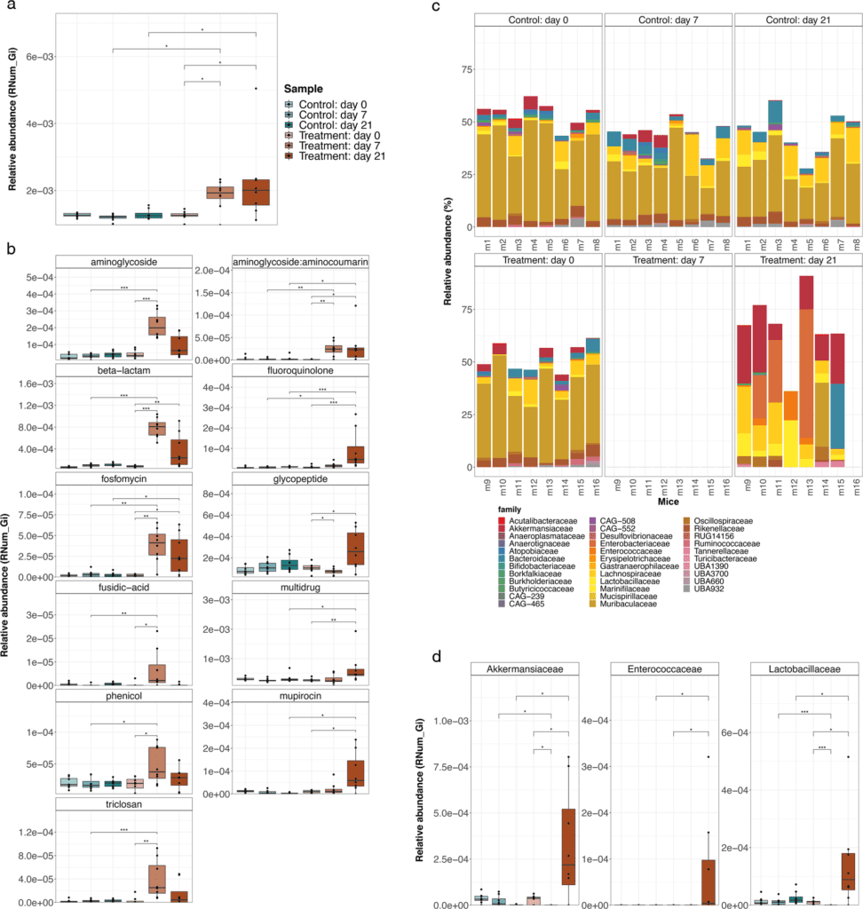 Gut Microbiome and Antimicrobial Resistance