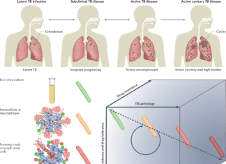 Benefits and Challenges of ‘One-Size-Fits-All’ Anti-Tuberculosis Treatment Strategies Anti-Tuberculosis Treatment Drug Development