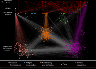 A Systems Genomics Approach to Identify Hidden Genetic Connections for Precision Medicine Systems Genomics Approach to Identify Hidden Genetic Connections for Precision Medicine