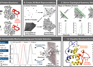 ‘SINATRA Pro’ a Computational Pipeline for the Discovery of Biophysical Signatures in Protein Dynamics SINATRA Pro Computational Pipeline for for Discovery of Biophysical Signatures in Protein Dynamics