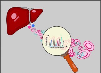 Scientists Discover New Mass Spectrometry-Based Proteomics Method For Early Detection of Liver Diseases Mass Spectrometry-Based Proteomics Method For Early Detection of Liver Diseases