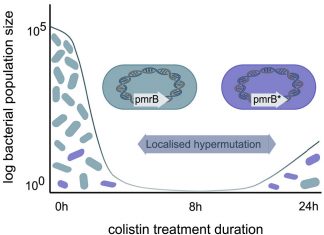 Scientists Discover Superbug Develops Drug-Resistance to ‘last Resort’ Antibiotic Fast Drug Resistance to last Resort Antibiotic