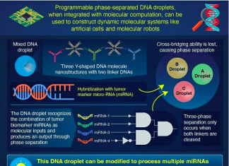Scientists Develop a Novel Approach for Early Disease Diagnosis Using DNA Droplets Early Disease Diagnosis Using DNA Droplets