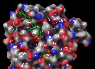 Scientists Synthesize a New Molecule with the Ability to Kill a Broad Spectrum of Hard-to-Treat Cancers Hard to Treat Cancers