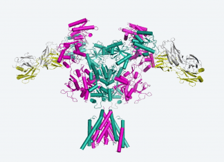 Scientists Develop Structural 3D Maps of Key Proteins that Go Wrong in Brain Disorders Revealing New Treatment Routes brain disorders