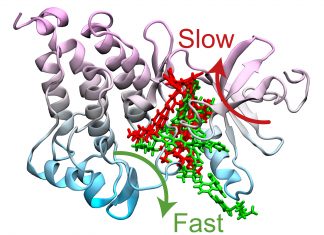 A New Computer Simulation Coupled with Machine Learning Cracked the Mechanism of Cancer Drug Resistance Computer Simulation Coupled with Machine Learning Ravels the Mechanism of Cancer Drug Resistance.