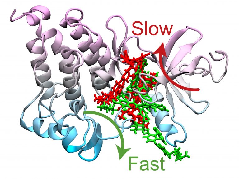 Computer Simulation Coupled with Machine Learning Ravels the Mechanism of Cancer Drug Resistance.