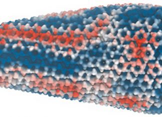 Supercomputing Helps Discover Weaknesses in HIV-1 Virus Capsid Supercomputing Discovers Weaknesses in HIV-1 Virus Capsid