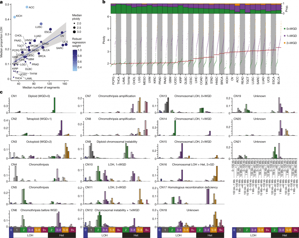 Cancer Genomes