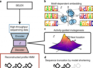 Scientists Develop a Novel Probabilistic Generative Model ‘RaptGen’ for Aptamer Generation RaptGen for Aptamer Generation