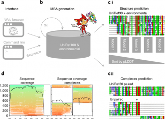 ColabFold: A Freely Accessible Protein Folding Tool for Accelerated Prediction of Protein Structures and Complexes ColabFold: A Freely Accessible Protein Folding Tool