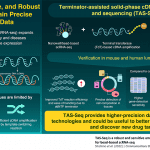 single-cell RNA sequencing, TAS-Seq, RNA Sequencing