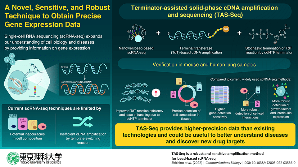 single-cell RNA sequencing, TAS-Seq, RNA Sequencing