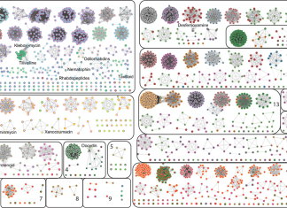 Scientists Integrate Genome Mining with PAN Genome Analysis to Discover the Potential of Bacterial Compounds and Genes Linked to Colon Cancer-Causing Toxin Colon Cancer, biosynthetic gene clusters, metabolite, genome mining