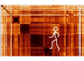 Scientists Use CRISPR Technology and Perturb-seq to Map Every Human Gene to its Function CRISPR Technology and Perturb-seq to Map Every Human Gene to its Function