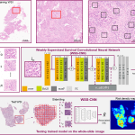 Disease Prognosis Using Deep Learning And Images