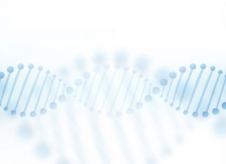 “Zip Codes” Direct RNA Molecules to Reach their Intended Destinations "Zip Codes" Direct RNA Molecules to Reach their Intended Destinations