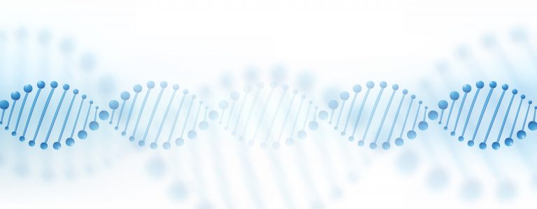 "Zip Codes" Direct RNA Molecules to Reach their Intended Destinations