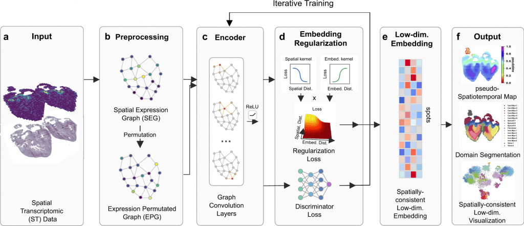 SpaceFlow - A Deep Learning Framework to Integrate Spatiotemporal Information in Analyzing Spatial Transcriptomic Data