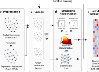 SpaceFlow – A Deep Learning Framework to Integrate Spatiotemporal Information in Analyzing Spatial Transcriptomic Data SpaceFlow - A Deep Learning Framework to Integrate Spatiotemporal Information in Analyzing Spatial Transcriptomic Data