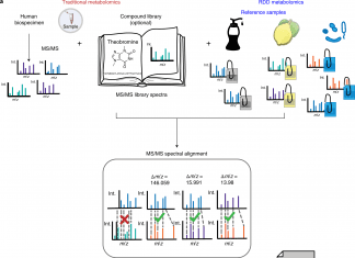 Untargeted Metabolomics – A Novel Technique for Identifying a Vast Number of Compounds Obtained from the Food we Eat untargeted metabolomics, mass spectrometry data