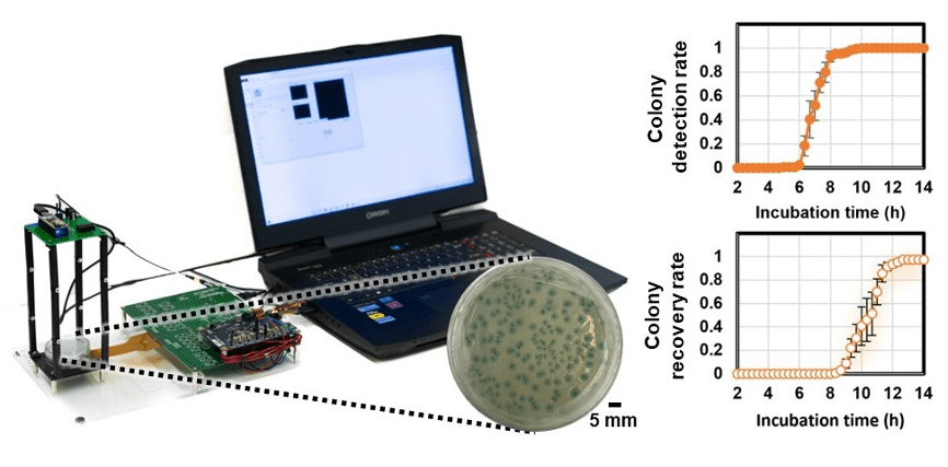 bacterial, thin film transistor, pathogenic bacteria