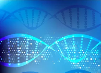 Replication Stalling and Recovery within Repetitive DNA Plays a Role in the Onset of Cancer Repetitive DNA