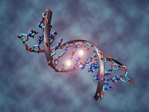 Genome-Wide Mapping of Different Types of DNA Methylation, Sequencing, NT-seq, cancer