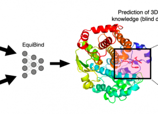 A Geometric Deep-Learning Model ‘EquiBind’ the Fastest Computational Molecular Docking Model EquiBind for molecular docking and drug discovery